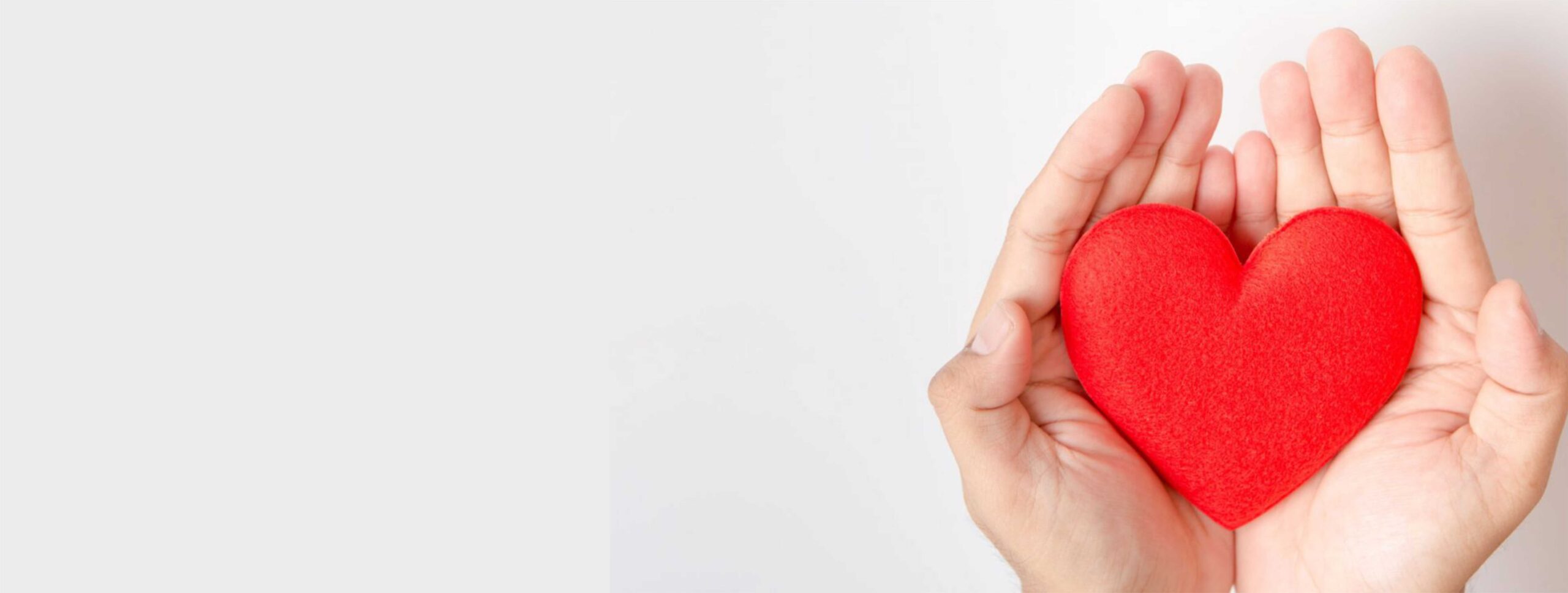 Mensagem das Irmãs Salesianas de São Paulo