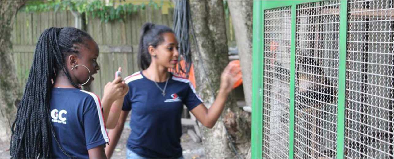 Educandos da Casa Betânia visitam fazenda esperança