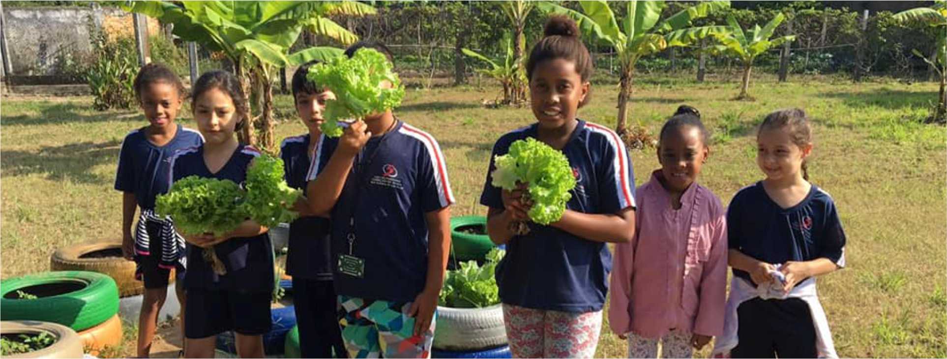 Projeto Horta da Casa do Puríssimo Coração de Maria