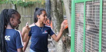Educandos da Casa Betânia visitam fazenda esperança